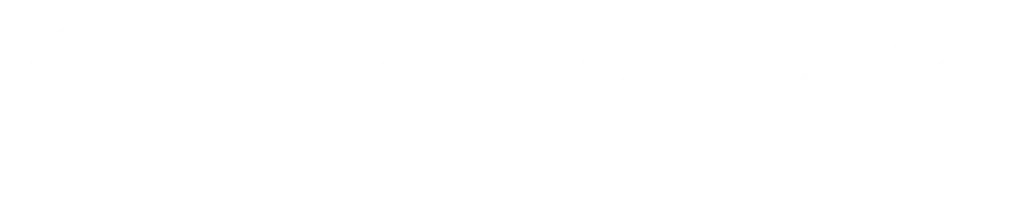 chc-special-needs-logo